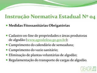 Instrução Normativa Estadual Nº 04
 Medidas Fitossanitárias Obrigatórias
 Cadastro on-line de propriedades e áreas produtoras
de algodão (www.agrodefesa.go.gov.br);
 Cumprimento do calendário de semeadura;
 Cumprimento do vazio sanitário;
 Eliminação de plantas voluntárias de algodão;
 Regulamentação do transporte de cargas de algodão.
 