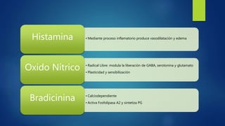 • Mediante proceso inflamatorio produce vasodilatación y edemaHistamina
• Radical Libre: modula la liberación de GABA, serotonina y glutamato
• Plasticidad y sensibilización
Oxido Nítrico
• Calciodependiente
• Activa Fosfolipasa A2 y sintetiza PG
Bradicinina
 