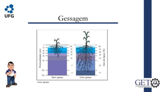Gessagem
Fonte: Agropós
 