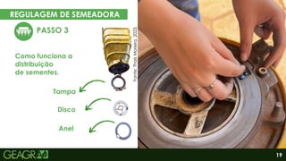 19
REGULAGEM DE SEMEADORA
EM CINCO PASSOS
PASSO 3
Eixo motor
Eixo movido
Como funciona a
distribuição
de sementes.
Tampa
Disco
Anel
Fonte:
Thaís
Moreira,
2023.
 