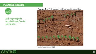 43
PLANTABILIDADE
Má regulagem
na distribuição de
semente.
Fonte: Seed News, 2023.
Figura 8 – Falhas no estande de plantio.
 
