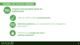 9
SISTEMA DE CULTIVO MÍNIMO
EM CINCO PASSOS
Eixo motor
Eixo movido
Barreiras químicas que necessitariam de calagem e
gessagem;
Não se verifica forte compactação;
Presença de pragas de solo e
plantas daninhas.
PASSOU POR ESCARIFICADOR OU
SUBSOLADOR
 