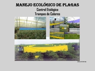 MANEJO ECOLÓGICO DE PLAGAS
        Control Etológico
       Trampas de Colores




                            JOGUITOPAR
 