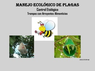 MANEJO ECOLÓGICO DE PLAGAS
            Control Etológico
    Trampas con Atrayentes Alimenticios




                                          JOGUITOPAR
 