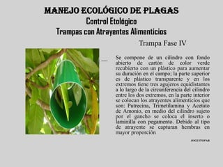 MANEJO ECOLÓGICO DE PLAGAS
           Control Etológico
  Trampas con Atrayentes Alimenticios
                                      Trampa Fase IV

               JOGUITOPAR
                            Se compone de un cilindro con fondo
                            abierto de cartón de color verde
                            recubierto con un plástico para aumentar
                            su duración en el campo; la parte superior
                            es de plástico transparente y en los
                            extremos tiene tres agujeros equidistantes
                            a lo largo de la circunferencia del cilindro
                            entre los dos extremos, en la parte interior
                            se colocan los atrayentes alimenticios que
                            son: Putrecina, Trimetilamina y Acetato
                            de Amonio, en medio del cilindro sujeto
                            por el gancho se coloca el inserto o
                            laminilla con pegamento. Debido al tipo
                            de atrayente se capturan hembras en
                            mayor proporción
                                                               JOGUITOPAR
 