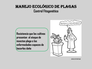 MANEJO ECOLÓGICO DE PLAGAS
                Control Fitogenético




Resistencia que los cultivos
presentan al ataque de
insectos plaga o las
enfermedades capaces de
hacerles daño


                                       JOGUITOPAR
 