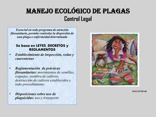 MANEJO ECOLÓGICO DE PLAGAS
                                             Control Legal
         Esencial en todo programa de atención
    fitosanitario, permite controlar la dispersión de
          una plaga o enfermedad determinada

       Se basa en LEYES, DECRETOS y
                REGLAMENTOS
•      Establecimiento de inspección, vedas y
       cuarentenas

•      Reglamentación de prácticas
       fitosanitarias: movimientos de semillas,
       esquejes, siembra de cultivos,
       destrucción de cultivos establecidos y
       todo procedimiento.
                                                             JOGUITOPAR
•      Disposiciones sobre uso de
       plaguicidas: uso y transporte
 