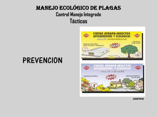 MANEJO ECOLÓGICO DE PLAGAS
         Control Manejo Integrado
                Tácticas
                      JOGUITOPAR




PREVENCION



                                    JOGUITOPAR
 