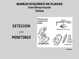 MANEJO ECOLÓGICO DE PLAGAS
         Control Manejo Integrado
                Tácticas




DETECCION
   y/o
MONITOREO

                                    JOGUITOPAR
 