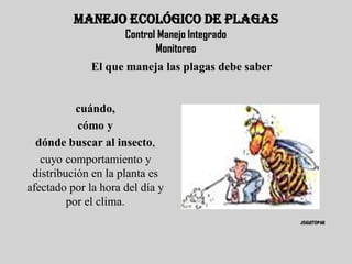 MANEJO ECOLÓGICO DE PLAGAS
                     Control Manejo Integrado
                            Monitoreo
              El que maneja las plagas debe saber


           cuándo,
           cómo y
  dónde buscar al insecto,
   cuyo comportamiento y
 distribución en la planta es
afectado por la hora del día y
         por el clima.
                                                    JOGUITOPAR
 