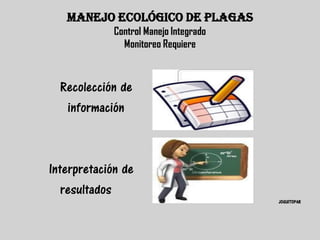 MANEJO ECOLÓGICO DE PLAGAS
             Control Manejo Integrado
               Monitoreo Requiere



  Recolección de
   información



Interpretación de
   resultados
                                        JOGUITOPAR
 