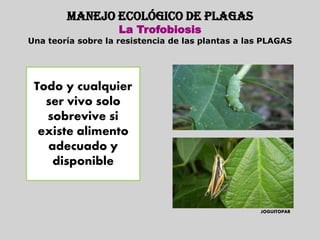 MANEJO ECOLÓGICO DE PLAGAS
                    La Trofobiosis
Una teoría sobre la resistencia de las plantas a las PLAGAS




 Todo y cualquier
   ser vivo solo
   sobrevive si
  existe alimento
   adecuado y
    disponible


                                                   JOGUITOPAR
 