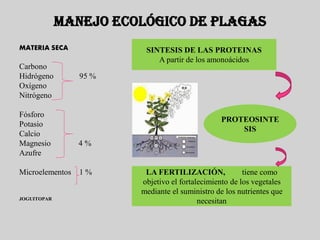 MANEJO ECOLÓGICO DE PLAGAS
MATERIA SECA             SINTESIS DE LAS PROTEINAS
                            A partir de los amonoácidos
Carbono
Hidrógeno        95 %
Oxígeno
Nitrógeno

Fósforo
                                                PROTEOSINTE
Potasio
                                                    SIS
Calcio
Magnesio         4%
Azufre

Microelementos   1%      LA FERTILIZACIÓN,              tiene como
                        objetivo el fortalecimiento de los vegetales
                        mediante el suministro de los nutrientes que
JOGUITOPAR
                                          necesitan
 