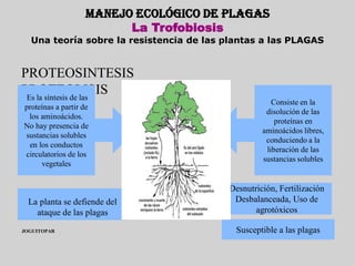 MANEJO ECOLÓGICO DE PLAGAS
                          La Trofobiosis
  Una teoría sobre la resistencia de las plantas a las PLAGAS


PROTEOSINTESIS
PROTEOLISIS
 Es la síntesis de las
                                                     Consiste en la
proteínas a partir de
                                                   disolución de las
 los aminoácidos.
                                                      proteínas en
No hay presencia de
                                                  aminoácidos libres,
sustancias solubles
                                                   conduciendo a la
 en los conductos
                                                   liberación de las
circulatorios de los
                                                  sustancias solubles
     vegetales


                                         Desnutrición, Fertilización
 La planta se defiende del                Desbalanceada, Uso de
   ataque de las plagas                         agrotóxicos

JOGUITOPAR                                 Susceptible a las plagas
 