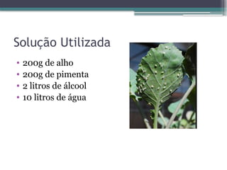Solução Utilizada
• 200g de alho
• 200g de pimenta
• 2 litros de álcool
• 10 litros de água
 
