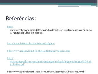 Referências:
http://
www.agrofit.com.br/portal/citros/54-citros/130-os-pulgoes-sao-os-principa
is-vetores-de-virus-de-plantas
.
http://www.infoescola.com/insetos/pulgoes/
http://www.pragas.com.br/noticias/destaques/pulgoes.php
http://
www.grupocultivar.com.br/ativemanager/uploads/arquivos/artigos/hf16_di
stribuidor.pdf
http://www.controlarambiental.com.br/Brevicoryne%20brassicae.html
 