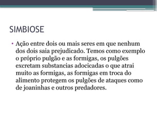 SIMBIOSE
• Ação entre dois ou mais seres em que nenhum
dos dois saia prejudicado. Temos como exemplo
o próprio pulgão e as formigas, os pulgões
excretam substancias adocicadas o que atrai
muito as formigas, as formigas em troca do
alimento protegem os pulgões de ataques como
de joaninhas e outros predadores.
 
