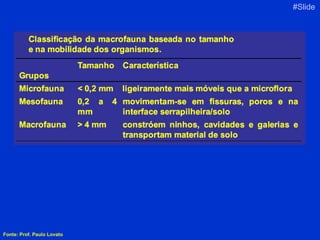 Fonte: Prof. Paulo Lovato #Slide 3 