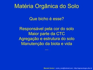 Matéria Orgânica do Solo Que bicho é esse? Responsável pela cor do solo Maior parte da CTC Agregação e estrutura do solo Manutenção da biota e vida ... Marcelo Venturi -  [email_address]  -  http://agroecologia.ufsc.br 