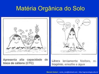 Matéria Orgânica do Solo Marcelo Venturi -  [email_address]  -  http://agroecologia.ufsc.br 