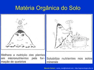 Matéria Orgânica do Solo Marcelo Venturi -  [email_address]  -  http://agroecologia.ufsc.br 