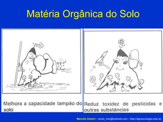 Matéria Orgânica do Solo Marcelo Venturi -  [email_address]  -  http://agroecologia.ufsc.br 