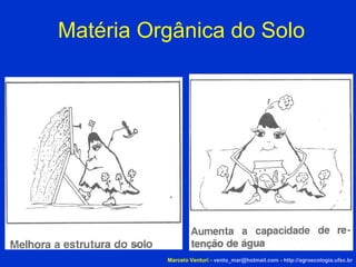 Matéria Orgânica do Solo Marcelo Venturi -  [email_address]  -  http://agroecologia.ufsc.br 