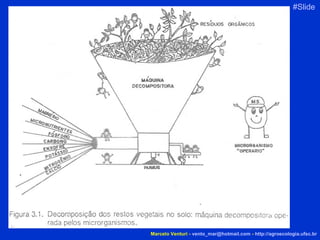 Marcelo Venturi -  [email_address]  -  http://agroecologia.ufsc.br #Slide 3 