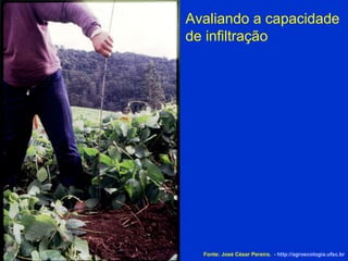 Avaliando a capacidade de infiltração Fonte: José César Pereira.  -  http://agroecologia.ufsc.br 