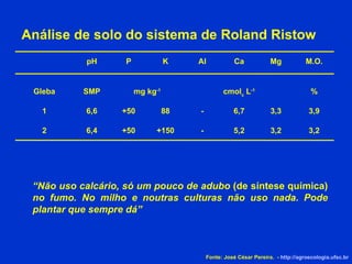 Análise de solo do sistema de Roland Ristow “ Não uso calcário, só um pouco de adubo  (de síntese química)  no fumo. No milho e noutras culturas não uso nada. Pode plantar que sempre dá” Fonte: José César Pereira.  -  http://agroecologia.ufsc.br 3,2 3,2 5,2 - +150 +50 6,4 2 3,9 3,3 6,7 - 88 +50 6,6 1 % cmol c  L -1 mg kg -1 SMP Gleba M.O. Mg Ca Al K P pH 