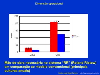 Mão-de-obra necessária no sistema “RR” (Roland Ristow)   em comparação ao modelo convencional (principais culturas anuais)  Dimensão operacional 1,8 X 1,7 X Fonte: José César Pereira.  -  http://agroecologia.ufsc.br 