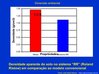 Dimensão ambiental Densidade aparente do solo no sistema “RR” (Roland Ristow) em comparação ao modelo convencional 1,3 X Fonte: José César Pereira.  -  http://agroecologia.ufsc.br 