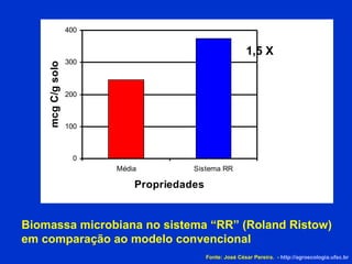 Biomassa microbiana no sistema “RR” (Roland Ristow)   em comparação ao modelo convencional 1,5 X Fonte: José César Pereira.  -  http://agroecologia.ufsc.br 