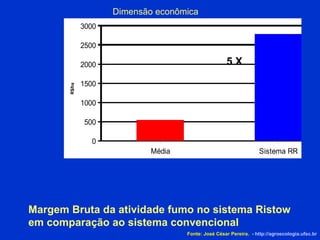 Dimensão econômica Margem Bruta da atividade fumo no sistema Ristow em comparação ao sistema convencional 5 X Fonte: José César Pereira.  -  http://agroecologia.ufsc.br 