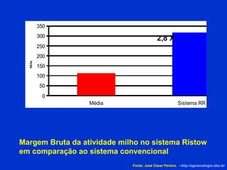 Margem Bruta da atividade milho no sistema Ristow em comparação ao sistema convencional 2,8 X Fonte: José César Pereira.  -  http://agroecologia.ufsc.br 