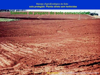Marcelo Venturi -  [email_address]  -  http://agroecologia.ufsc.br Manejo (Agro)Ecológico do Solo solo protegido: Plantio direto sem herbicidas Sistemas de preparo do solo convencional 