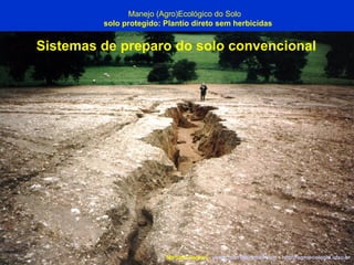 Marcelo Venturi -  [email_address]  -  http://agroecologia.ufsc.br Manejo (Agro)Ecológico do Solo solo protegido: Plantio direto sem herbicidas Sistemas de preparo do solo convencional 
