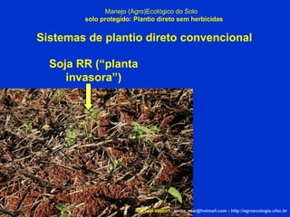 Marcelo Venturi -  [email_address]  -  http://agroecologia.ufsc.br Manejo (Agro)Ecológico do Solo solo protegido: Plantio direto sem herbicidas Sistemas de plantio direto convencional Soja RR (“planta invasora”)‏ 