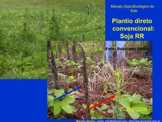 Marcelo Venturi -  [email_address]  -  http://agroecologia.ufsc.br Manejo (Agro)Ecológico do Solo Plantio direto convencional: Soja RR Foto: Robinson Osipe 