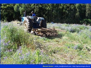 Marcelo Venturi -  [email_address]  -  http://agroecologia.ufsc.br 