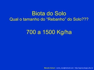 Marcelo Venturi -  [email_address]  -  http://agroecologia.ufsc.br Biota do Solo Qual o tamanho do “Rebanho” do Solo??? 700 a 1500 Kg/ha 