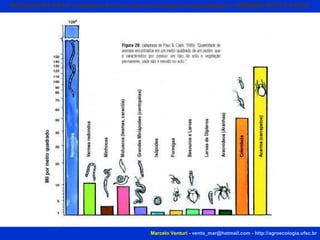 Marcelo Venturi -  [email_address]  -  http://agroecologia.ufsc.br MACHADO DA ROSA  O Ambiente horta escolar como espaço de aprendizagem. LABENSRU DZR CCA UFSC 