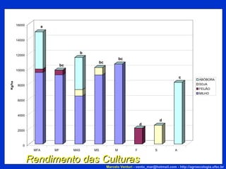 Rendimento das Culturas Marcelo Venturi -  [email_address]  -  http://agroecologia.ufsc.br 