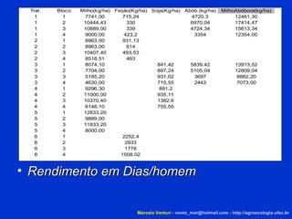 Rendimento em Dias/homem Marcelo Venturi -  [email_address]  -  http://agroecologia.ufsc.br 
