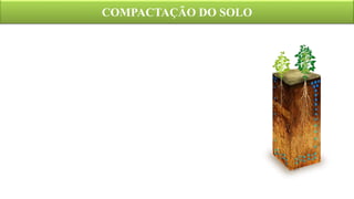COMPACTAÇÃO DO SOLO
 