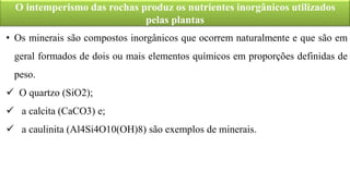 O intemperismo das rochas produz os nutrientes inorgânicos utilizados
pelas plantas
• Os minerais são compostos inorgânicos que ocorrem naturalmente e que são em
geral formados de dois ou mais elementos químicos em proporções definidas de
peso.
 O quartzo (SiO2);
 a calcita (CaCO3) e;
 a caulinita (Al4Si4O10(OH)8) são exemplos de minerais.
 