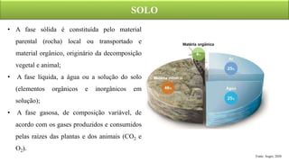 SOLO
Fonte: Aegro, 2020
• A fase sólida é constituída pelo material
parental (rocha) local ou transportado e
material orgânico, originário da decomposição
vegetal e animal;
• A fase líquida, a água ou a solução do solo
(elementos orgânicos e inorgânicos em
solução);
• A fase gasosa, de composição variável, de
acordo com os gases produzidos e consumidos
pelas raízes das plantas e dos animais (CO2 e
O2).
 