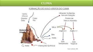 CLIMA
Fonte: EcoHumin, 2020
 