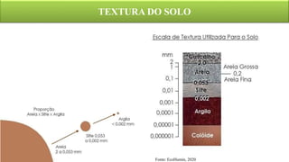 TEXTURA DO SOLO
Fonte: EcoHumin, 2020
 