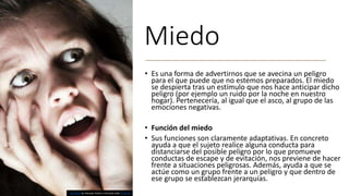 Miedo
• Es una forma de advertirnos que se avecina un peligro
para el que puede que no estemos preparados. El miedo
se despierta tras un estímulo que nos hace anticipar dicho
peligro (por ejemplo un ruido por la noche en nuestro
hogar). Pertenecería, al igual que el asco, al grupo de las
emociones negativas.
• Función del miedo
• Sus funciones son claramente adaptativas. En concreto
ayuda a que el sujeto realice alguna conducta para
distanciarse del posible peligro por lo que promueve
conductas de escape y de evitación, nos previene de hacer
frente a situaciones peligrosas. Además, ayuda a que se
actúe como un grupo frente a un peligro y que dentro de
ese grupo se establezcan jerarquías.
This Photo by Unknown Author is licensed under CC BY-SA
 